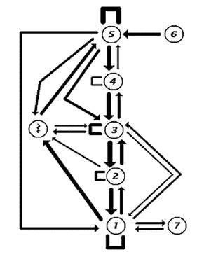 The probability of different scale tone successions for a very large sample of melodies in the major mode. Frequency of occurrence is proportional to the width of connecting lines. Lines are drawn only for those transitions with a probability of 0.015 or greater