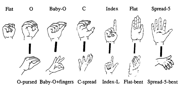 Handshapes used by conductors in non-dominant hand gestures, from Boyes Braem and Br&auml;m