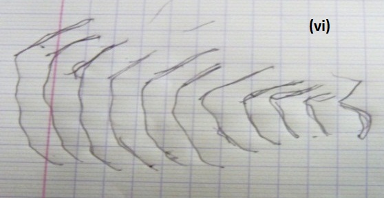 This example (vi) illustrates the category of Iconic (I). The BenaBena participant has used this single image to represent all pitch stimuli (Up, Down, Peak and Valley). The depiction of the sound events does not involve a timeline. According to the participant at the follow-up interview, all of the flute sounds were represented by the lines drawn above.