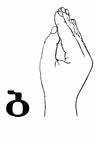 This is an alternative version of the dactyl b - the closed form. The palm is facing left, the four fingers are bent a little and the thumb touches the middle part of the index finger.