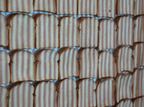 Detail of Self Portrait in the installation <em>Admission</em>, 2008