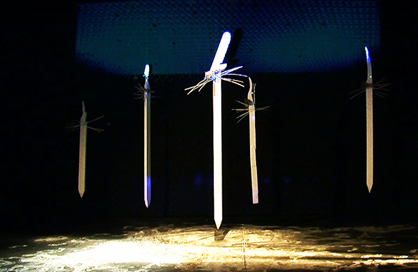 The white posts. Blind Torrent (2011). Courtesy of Russell Frampton