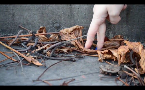 Screenshot. Die Wieten Wege. Dir. and Chor. Julia Metzger-Traber. Comp. Fourtet. 2014.